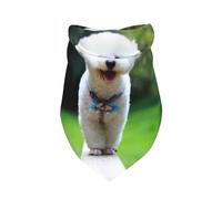 Cozimangoe Pet Bandana, Soft Breathable Scarf Triangle Bib Fashion Neckerchief, Holiday Parties Daily Wear Grooming Gifts, Personalized Bichon Frise Bokeh Pets Dogs Park White Dogs
