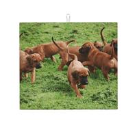 Cozimangoe Rhodesian Ridgebacks Dogs Puppies Pets Family, Dish Drying Mat, 18x16 Inch Absorbent Microfiber Quick Dry Machine Washable for Dishes Pots Pans Glassware Coffee Bar Under Rack
