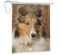 Cozimangoe Shower Curtains, 60x72in Mould Resistant with Rust-Proof Metal Rollerball Hooks, Guest Bathroom Hotel Spa Shower, Personalized Lovely Sheltie Dog