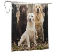 Cozimangoe Shower Curtains, 60x72in Mould Resistant with Rust-Proof Metal Rollerball Hooks, Guest Bathroom Hotel Spa Shower, Personalized Labrador Retrievers Dogs Black Golden White Brown