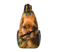 Cozimangoe Sling Bag For Man Woman, Reversible Shoulder Strap Crossbody Backpack Travel Hiking Biking Climbing Outdoors, Cavalier King Charles Spaniel Brown Curly Dogs