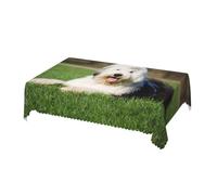 Cozimangoe Table Cloth, 54x72in Scalloped Edge Rectangular Tablecloth Wrinkle Resistant Washable Table Cover, Dining Room Kitchen Party Camping, Old English Sheepdog Dog