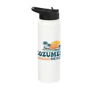 Cozumel Mexico Cruise 2026 Vintage Sunset Island Stainless Steel Insulated Water Bottle