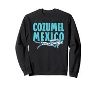 Cozumel Mexico Scuba Diving Sweatshirt