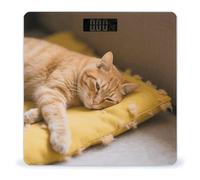 Cozy Cat Scale for Body Weight with LCD Display Sturdy Tempered Glass Weighing Scales Accurate Digital Bathroom Scale Fashion Body Fat Smart Scales 400 Lb