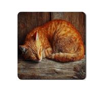 Cozy Cat Washer Dryer Top Protector Mat, Rustic Animal Print Laundry Room Cover, Autumn Inspired Rubber Anti-slip Waterproof Mats 24x24 Inch