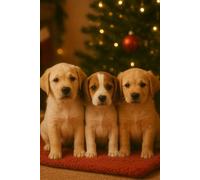 Cozy Christmas Cute Puppies: Beautiful Gift Notebook Journal for Friends and Family, Teens and Adults, School Booklet