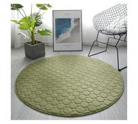 Cozy Coral Fleece Carpet Plush Round Area Rug for Living Room Sofa & Bedroom Soft Wool-Like Design Diameter 60-200cm (Green 160cm)