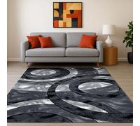 Cozy Haven Ecliptic Rugs - Large Fluffy Area Rug Carpet Washable Non-Slip Soft Modern Indoor Shaggy Floor Rug for Living Room, Bedroom, Hallway, Lounge - (Grey, 120x170 cm)