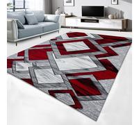 Cozy Haven Vortex Rugs - Large Fluffy Area Rug Carpet Washable Non-Slip Soft Modern Indoor Shaggy Floor Rug for Living Room, Bedroom, Hallway, Lounge - (Red, 120x170 cm)