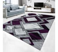 Cozy Haven Vortex Rugs - Large Fluffy Area Rug Carpet Washable Non-Slip Soft Modern Indoor Shaggy Floor Rug for Living Room, Bedroom, Hallway, Lounge - (Purple, 120x170 cm)