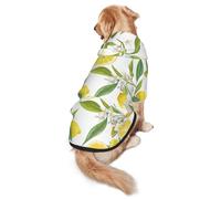 Cozy Hoodie For Medium Large Dogs, Fresh Tropical Lemons, Cold Weather Warm Dog Sweatshirt With Hood & Pocket, Soft Fabric Pullover Winter Clothes For Pets, Adjustable Dog Hoodie For Daily Walk