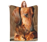 Cozy Plush Throw Blankets Beach Blankets,Dachshund Puppy Resting Warm Background, Halloween Valentine'S Day Gift For Blanket, Applicable To Gifts Bedding Quilt Home Decor For Couch60 X50
