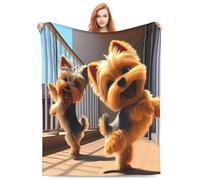 Cozy Plush Throw Blankets Beach Blankets,Two Yorkies Dancing Balcony Sunlight, Halloween Valentine'S Day Gift For Blanket, Applicable To Gifts Bedding Quilt Home Decor For Couch50 X40