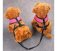 CozyCabin Dual Durable Dog Leash Strap No-Tangle for 2 Dogs Cats Small Pets for Walking Running and Training