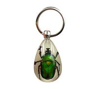 Cozylkx Amber Resin Keychain Real Insect Resin Pendant Key Ring Noctilucent Keyring Car Keyring for Women and Men (Beetle 2)