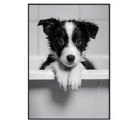 CozyPrints Cute Dog Bath Time Wall Art - Wet Border Collie Puppy Bathroom Decor - Black and White Animal Poster - Unframed Print Only (A3 - (29.7 x 42cm))