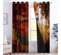 CozyRest Kids Curtains - Boys Girls Autumn Path Sunlight Shining Through The Trees Eyelet Blackout Curtain Thermal Insulated Window Drapes for Nursery Playroom Home Decoration 2 Panels 29.5" x 65"