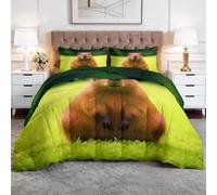 CozyRest Single Coverless Duvet, Animal Washable Soft Comfortable Bedding Comforter Set 3 Piece, Cute Capybara Green Grassfield Reversible Lightweight 135x200 cm Coverles Duvet with 2 Pillowcases