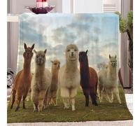 CozyRest Throw Blanket 70x100 cm, Cute Animal Alpaca Soft Flannel Fleece Blanket for Adults and Kids, Blanket for Better Sleep and Relieve Stress Sherpa Throw Blanket for Travel Sofa