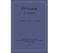 CP Violation