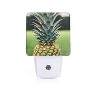 CPAQasg Be A Pineapple Print Night Light for Home Decor Bedroom Hallway Bathroom for Nightlight Illumination