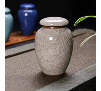 CPDDNGZMKK Pets Memorials Small Pet Urn Bird Dog Pet Urns Cremation Pet Caskets Funeral Vase Cat Cremation Ash Made Ceramics Hand Painted Funeral Box(1)