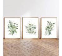 CPGG Set of 3 Eucalyptus Watercolor Print Floral Leaf Botanical Greenery Leaves Art Canvas Painting Green Wild Posters Living Room Bedroom Wall Decor-50 * 70cm (Unframed)
