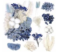 CPJJ Really Dried Embossed Flowers - Assorted Color Embossed Daisy Crafts, Resin Dried Flowers for Craft Resin Jewelry Making - Black and Blue