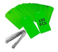 Cpolebev 100 Pieces 4 3/4Inch X 2 3/8Inch Plastic Shipping Tags with Wires Blank Labeling Tags Waterproof Hang Tags (Green)
