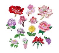 Cpolebev 13 PCS Iron on Patches Flower Appliques Stickers, Flower Basket Embroidery Decorative Patches Applique Sew on Patches