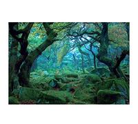 Cpolebev 3 * 5ft Green Jungle Photography Backdrop Studio Props Photo Background