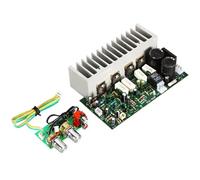 Cpolebev 350W Subwoofer Amplifier Board Mono High Power Subwoofer Amplifier Board DIY Subwoofer Speaker