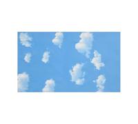 Cpolebev 3x5ft Blue White Cloud Photography Backdrop Screen Background Studio Props
