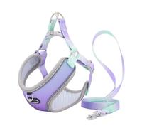 Cpolebev Escape Proof Cat Harness and Leash Set Adjustable Mesh Dog Harness Vest Puppy Pet Walking Lead Leash Easy to Use (A), S