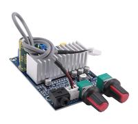 Cpolebev TPA3116 Subwoofer Amplifier Board 100W Bass Output DC12-24V Digital Small Power Amplifiers Video Audio Accessories
