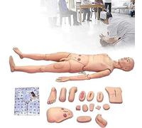 CPR Dummy Patient Care Mannequin, 5.57ft Life Size Geriatric Nursing Model, with Basic Nursing Operations and Interchangeable Genitals - PVC Patient Care Manikin