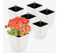CPROSP 6 x Self-Watering Pot with Water Level Indicator, White, 13.7 x 13.5 cm, Indoor/Outdoor, Modern Style, Self Watering Planter
