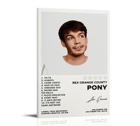 CPXBLHHW Rex Orange County Pop Singer And Rock Band Stunning Music Album Canvas Poster Wall Art Decorative Painting Bedroom Painting Posters 16x24inch(40x60cm) Frame-style