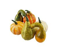 CPYGMXI Artificial Pumpkins, 6 PCS/10 PCS/12 PCS/24 PCS Fake Pumpkins Faux Harvest Pumpkins for Thanksgiving Party Halloween Holiday Decorations