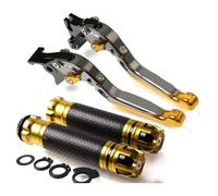 CPZPMFMKBG for Y&amaha MT09 MT-09 for Tracer GT SP 2014-2021 Motorcycle Clutch Brake Lever Extendable Adjustable Foldable Levers Handlebar Hand Grips Motorcycle Brake Lever(5)