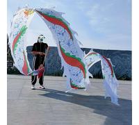 CQCQC 3D Colorful Dragon Poi Park Flowy Rainbow Satin Dragon Poi, Flinging The Dragon Spiral Practice Ribbon Streame With Head For Youth/Adult/Seniors(White,10m)