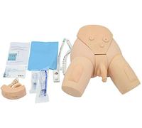 CQDWD Male and Female Manikin Urinary Catheterization Model Nursing Practice Simulator Interchangeable Mannequin for Nursing Medical Training