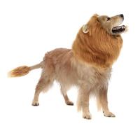 CQJ Dog Lion Mane Wig for Medium and Large Dogs - Realistic Light Brown L