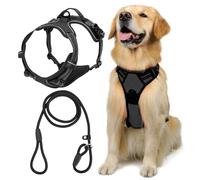 CQQNIU 1 Piece Dog Harness And 1 Piece Dog Leash, Pet Supplies, Adjustable Dog Harness, Pet Outing Accessories
