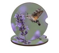 Crab on Coconut Shoes 2 Pack Car Coasters for Cup Holders Wooden Absorbent Car Cup Coasters Non-Scratch Cork Base, Water Resistant Cups Mat for Women & Men (Fits Most Cars, SUVs, Trucks)