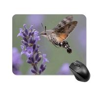 Crab on Coconut Shoes Mouse Pad Cute Square Mouse Mat Leather Non-Slip Rubber Base Mousepad Waterproof Computer Mouses Pad for Laptop Wireless Mouses Keyboard Home Office 20 * 25cm