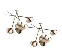 Crabop Natural Dried Cotton Bouquet 22cm Tall Rustic Home Decor | 10 realistic white stems, 22cm height, for weddings, photography, rustic decor