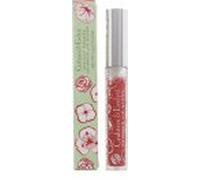 Crabtree & Evelyn Lip Gloss Shimmer Apricot Orange