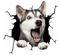 Crack Car Sticker, Dog Window Clings Car Crack Decals Pet Stickers Realistic Animal Funny 3D Husky Toilet Wall Truck Door Glass Simulation Gift Static Stickers Decoration, 1